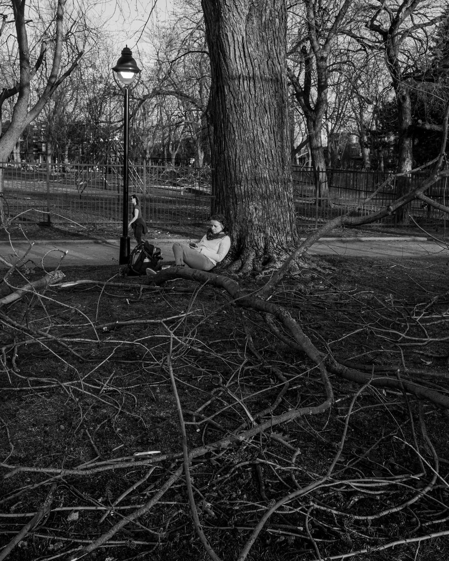 Nesting. #Monochrome #blackandwhite #bnwphotography #bnwgang #parclaurier #Outdoors #Branch #spring #montreal #mtl #plateaumontroyal #fujiX100v #reading #igers #igerscanada #thismtl #igersmontreal #mtl_unscripted #streetlifeshow