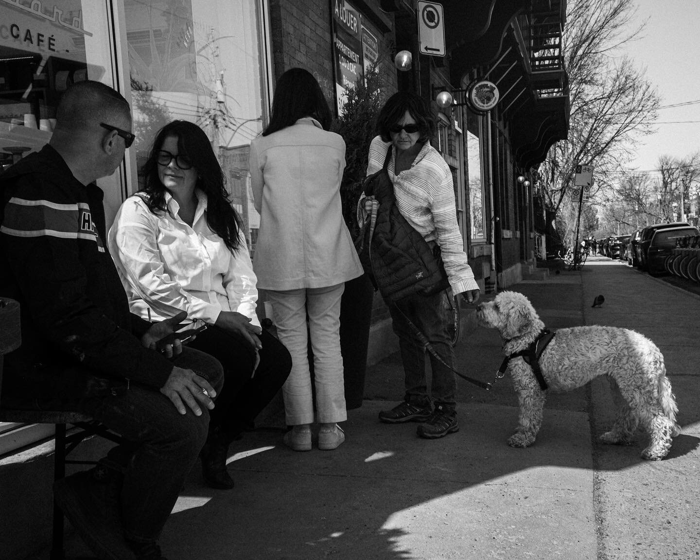 Dog eats (wo)man. #dog #streetphotography #monochrome #blackandwhite #bnwphotography #bnwgang #montreal #mtl #plateaumontroyal #mileend  #igers #igerscanada #thismtl #igersmontreal #mtl_unscripted #streetlifeshow #fujiX100v