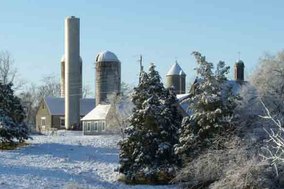 4. Mount San Angelo, Winter 1988