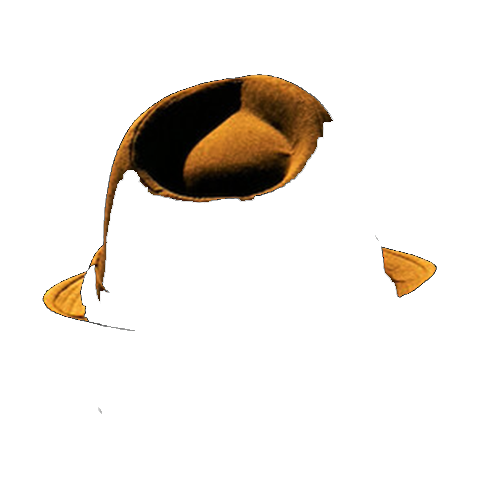 Burning_Sled_Hat_Logo_color.png