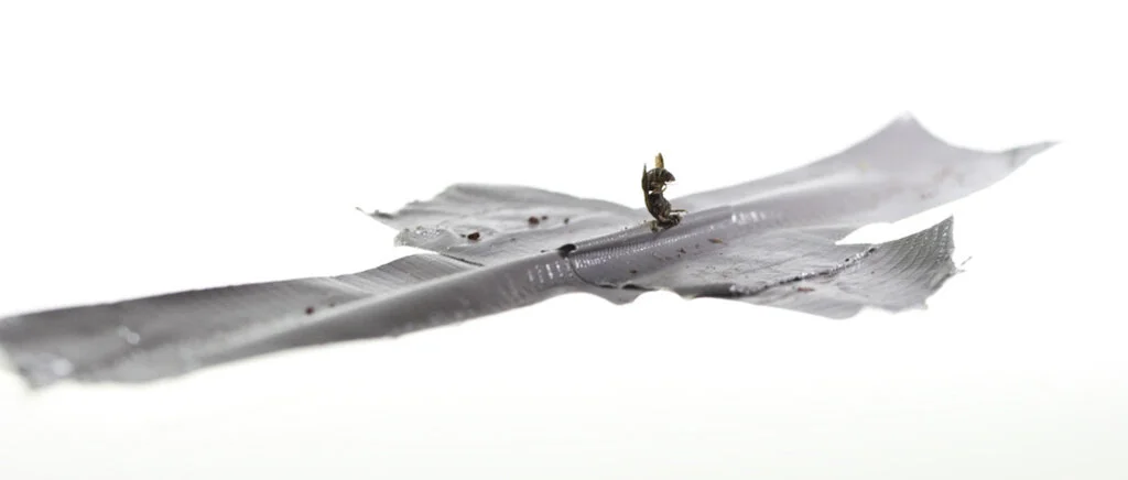 43b2be9543e35d93-j_miller_selffastenedtotheducttapecross_alternateview.jpg