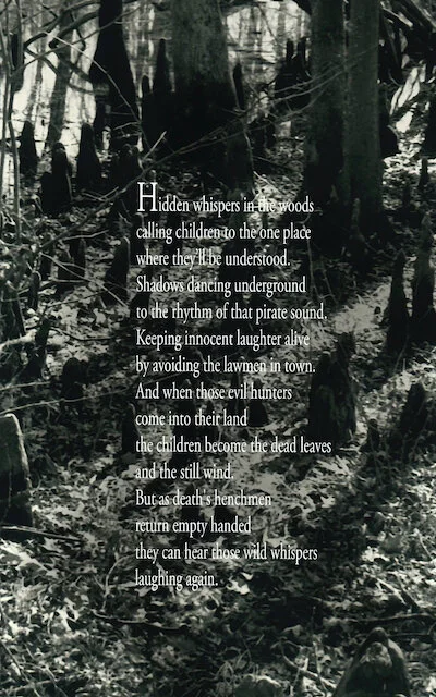 (Inner Cover) Hidden Whispers