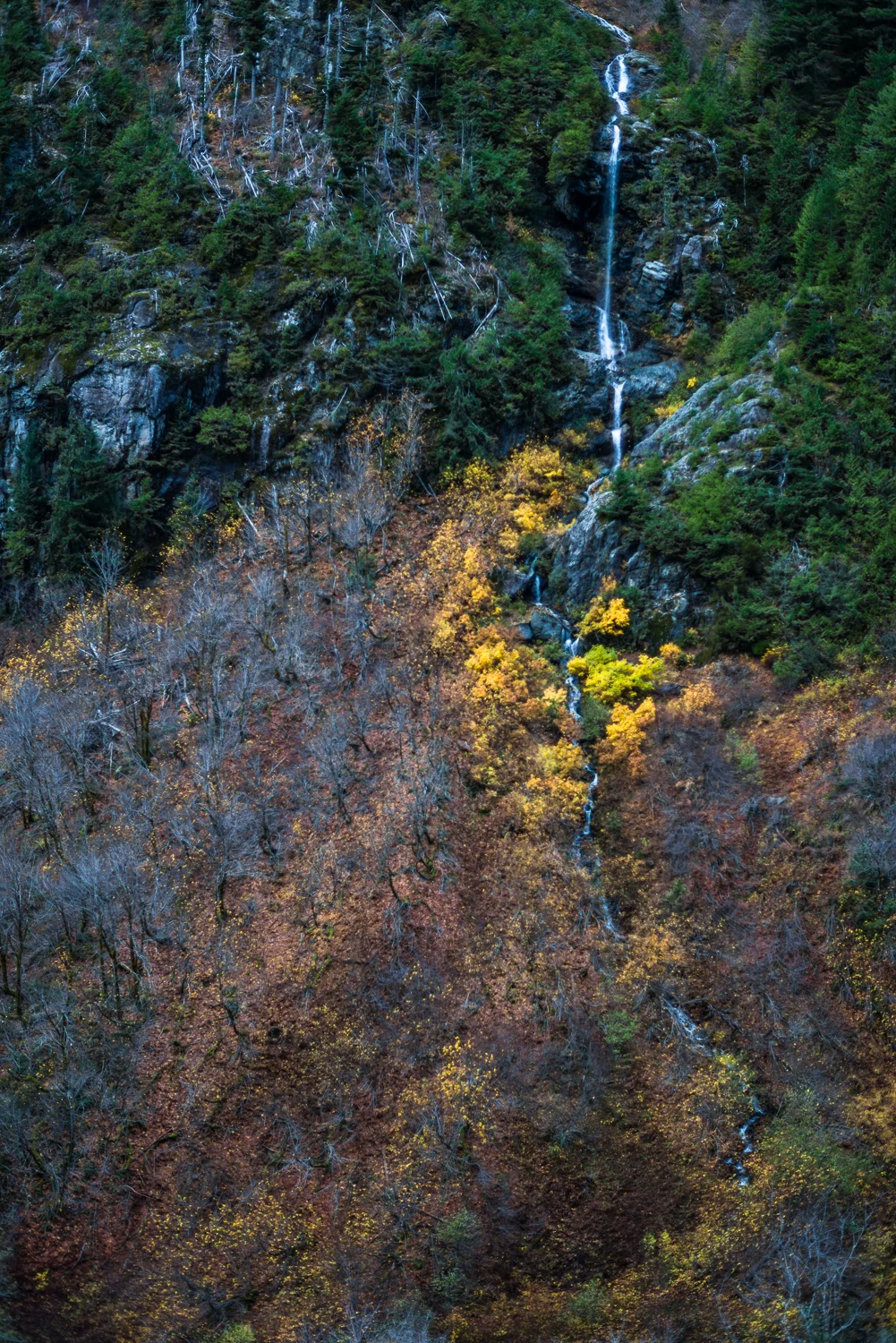s_gnam-6584.jpg