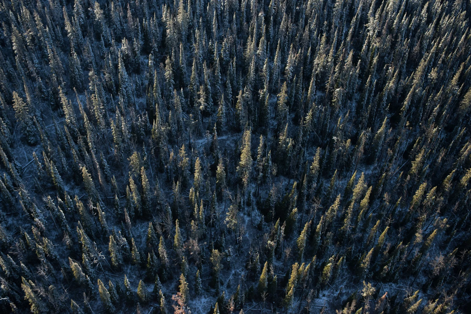 NCM14012_140923_-4343.jpg