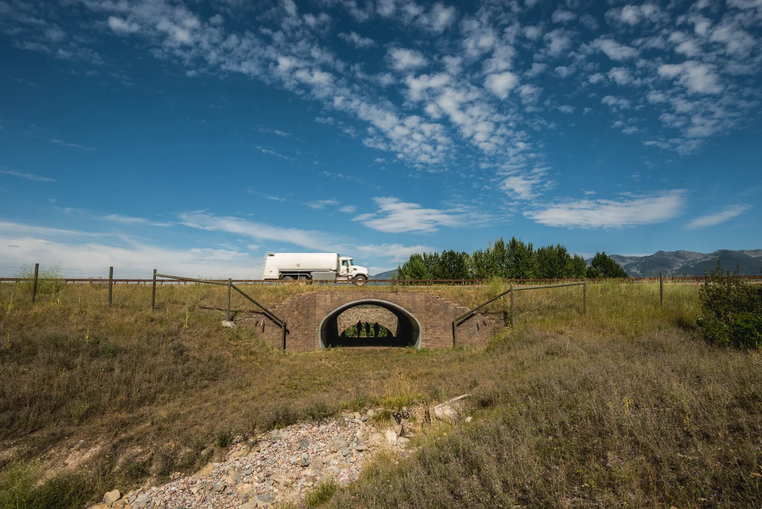 s_gnam-4551.jpg