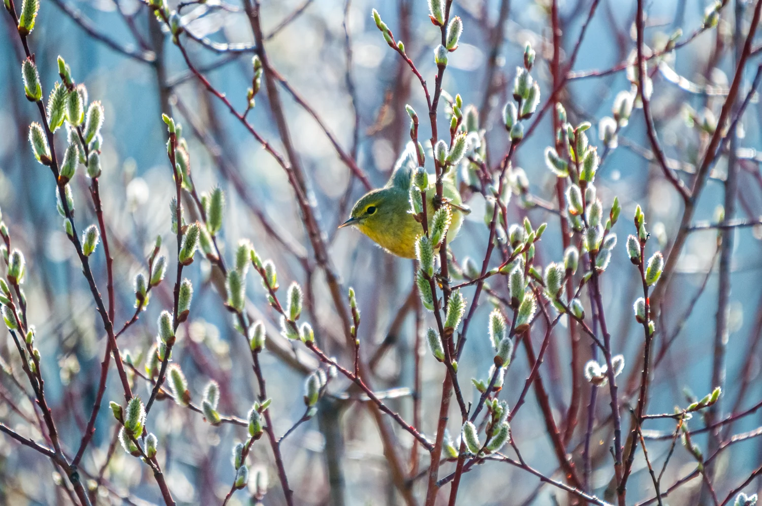 untitled-0748.jpg