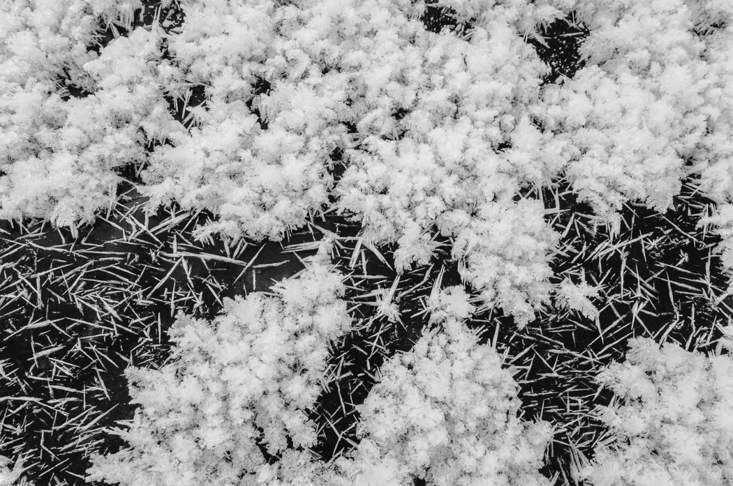 untitled-0834.jpg