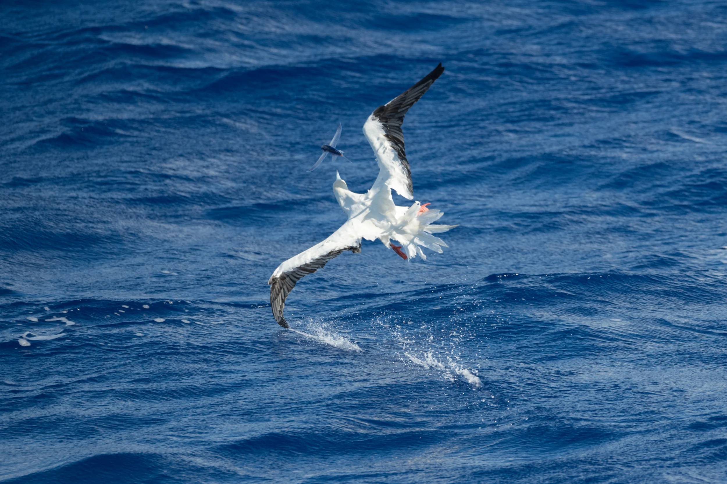 STEVEN_GNAM-1181.jpg