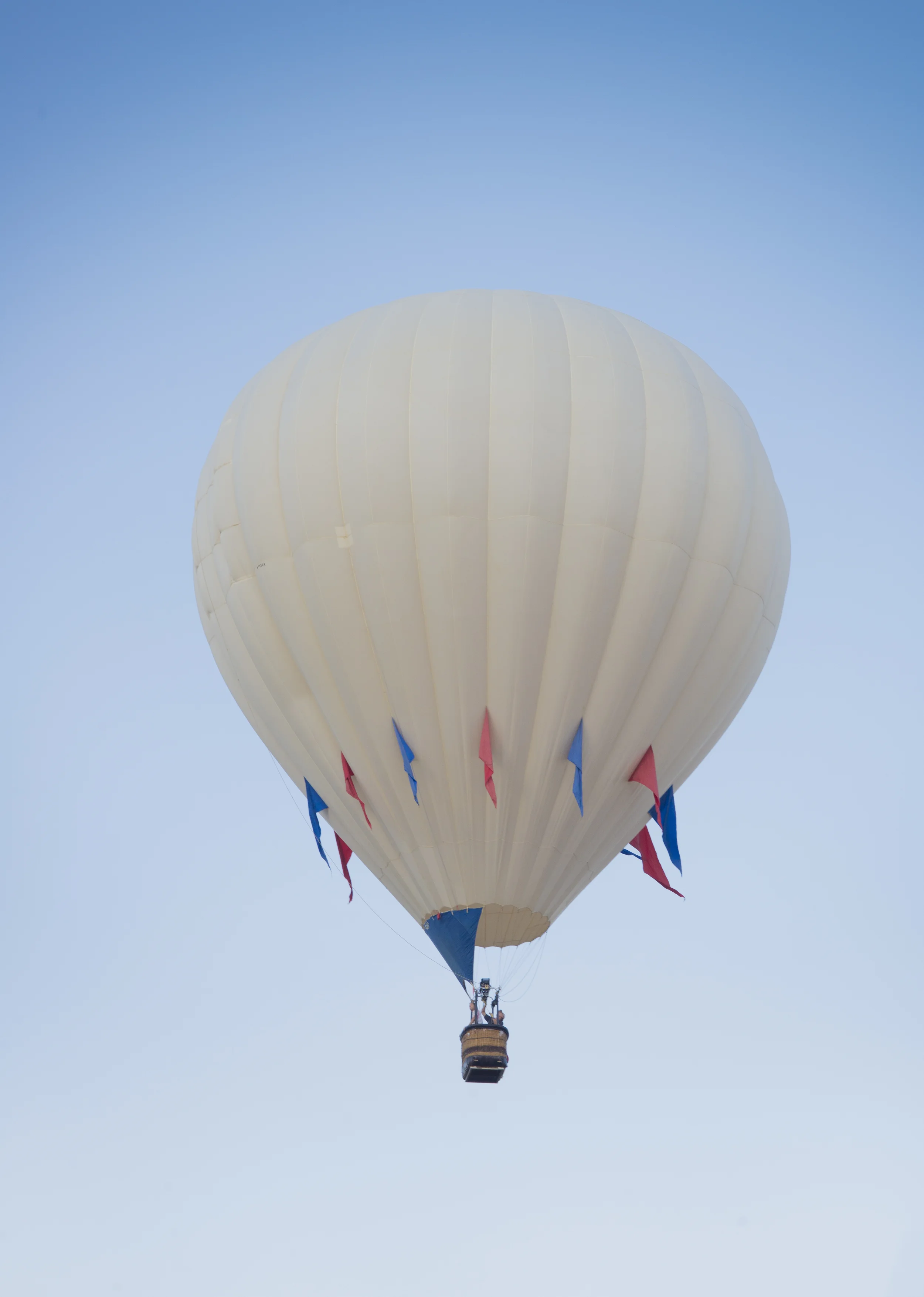 _DSC3534.jpg
