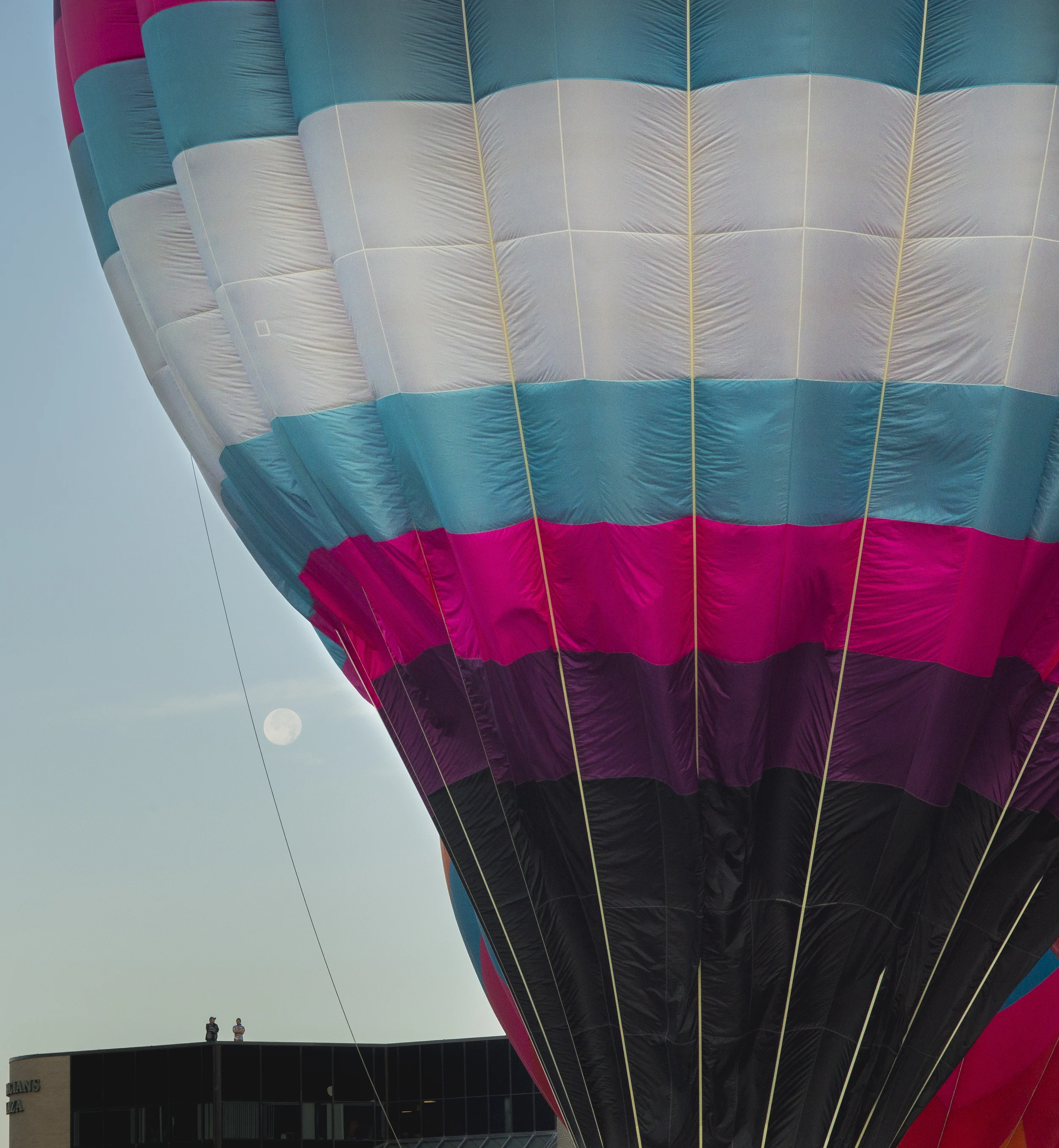 _DSC3536.jpg