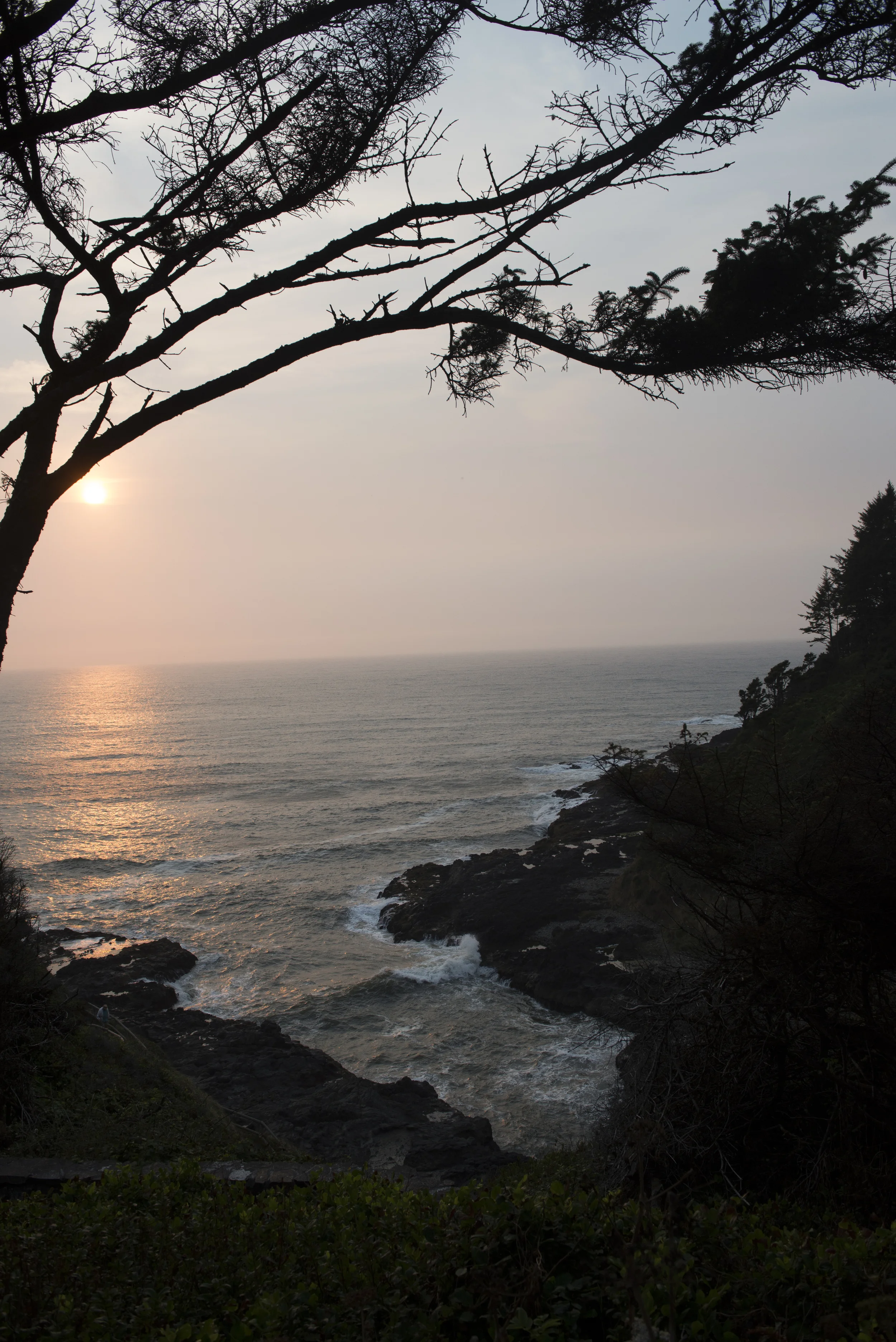 _DSC9990.jpg