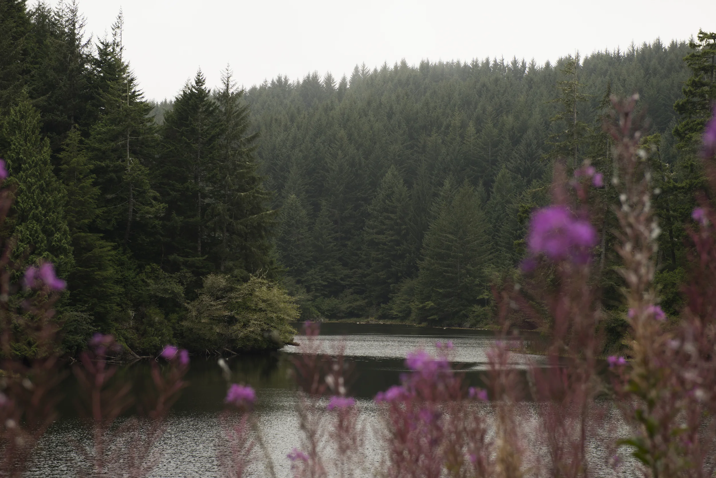 _DSC9619.jpg