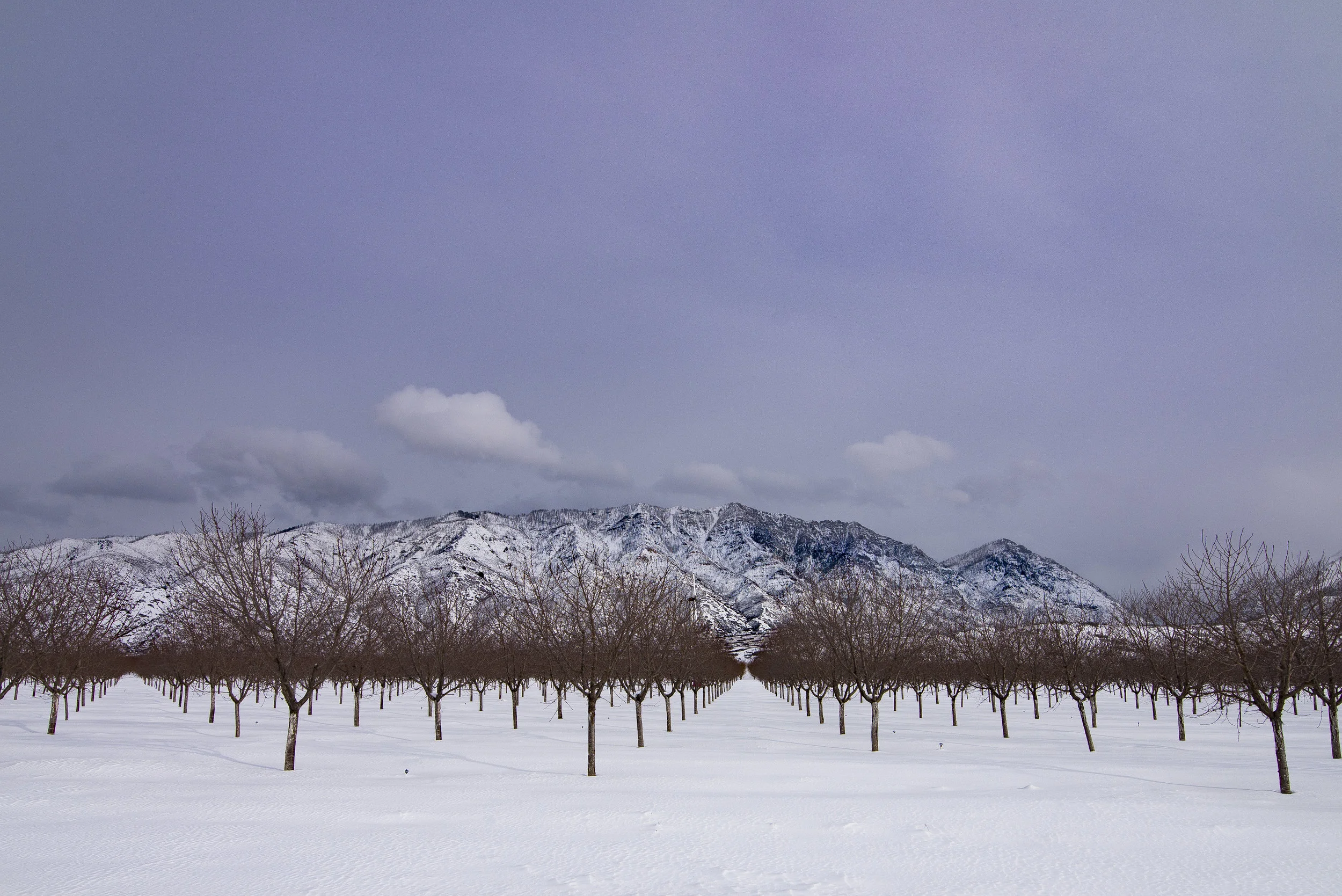 _DSC5959.jpg