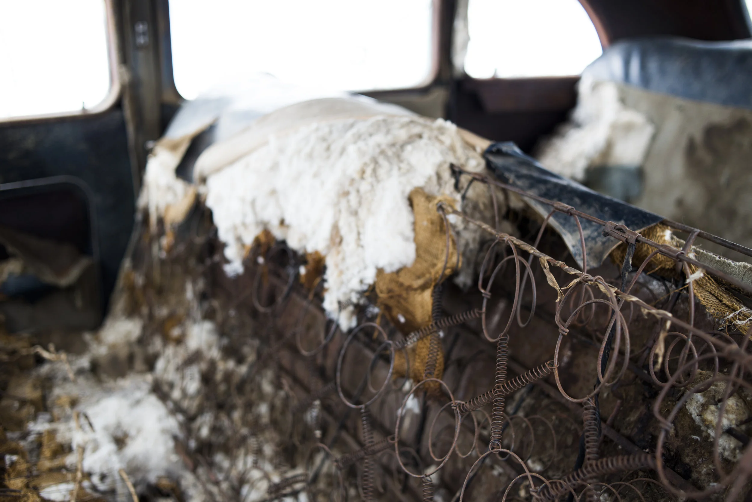 He was balled up on the cotton filling.