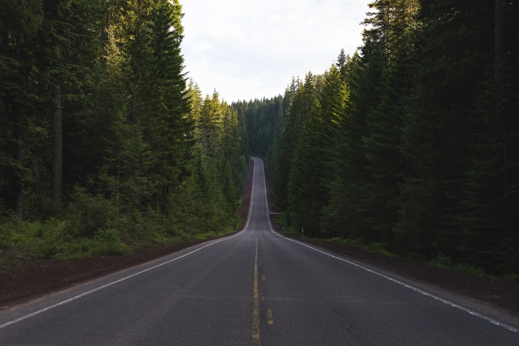 Finally really into the woods of Oregon