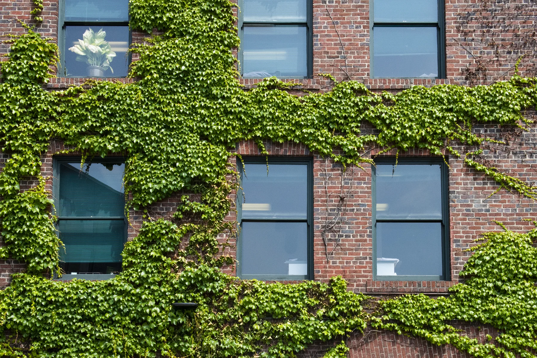 little details like this all over