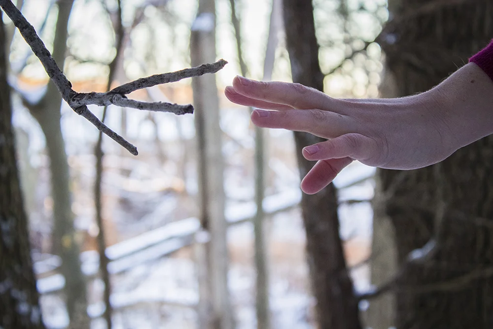   University of Nebraska   PHOT 261 - Beginning Photography for Art Majors   Assignment: Tell Me A Story   Fall 2014  