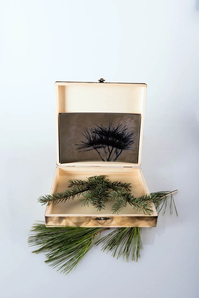   University of Wisconsin - Milwaukee   ART 458 - Photographic Materials and Processes   Assignment: Of Memory   Spring 2018  
