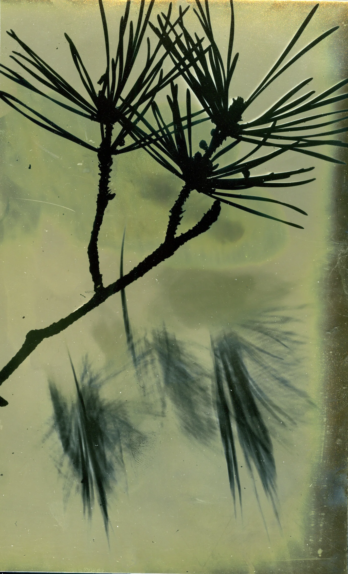   University of Wisconsin - Milwaukee   ART 458 - Photographic Materials and Processes   Assignment: Of Memory (Detail)   Spring 2018  