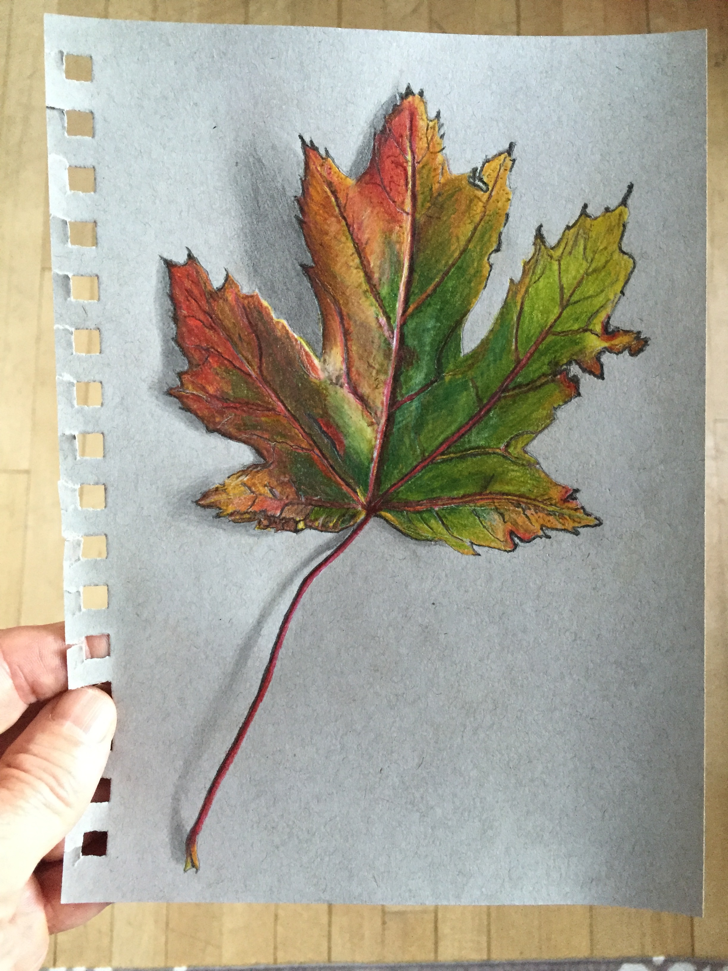 Лист рисунок цветной. Листья рисунок. Кленовый лист цветными карандашами. Листья карандашом. Листья цветными карандашами.