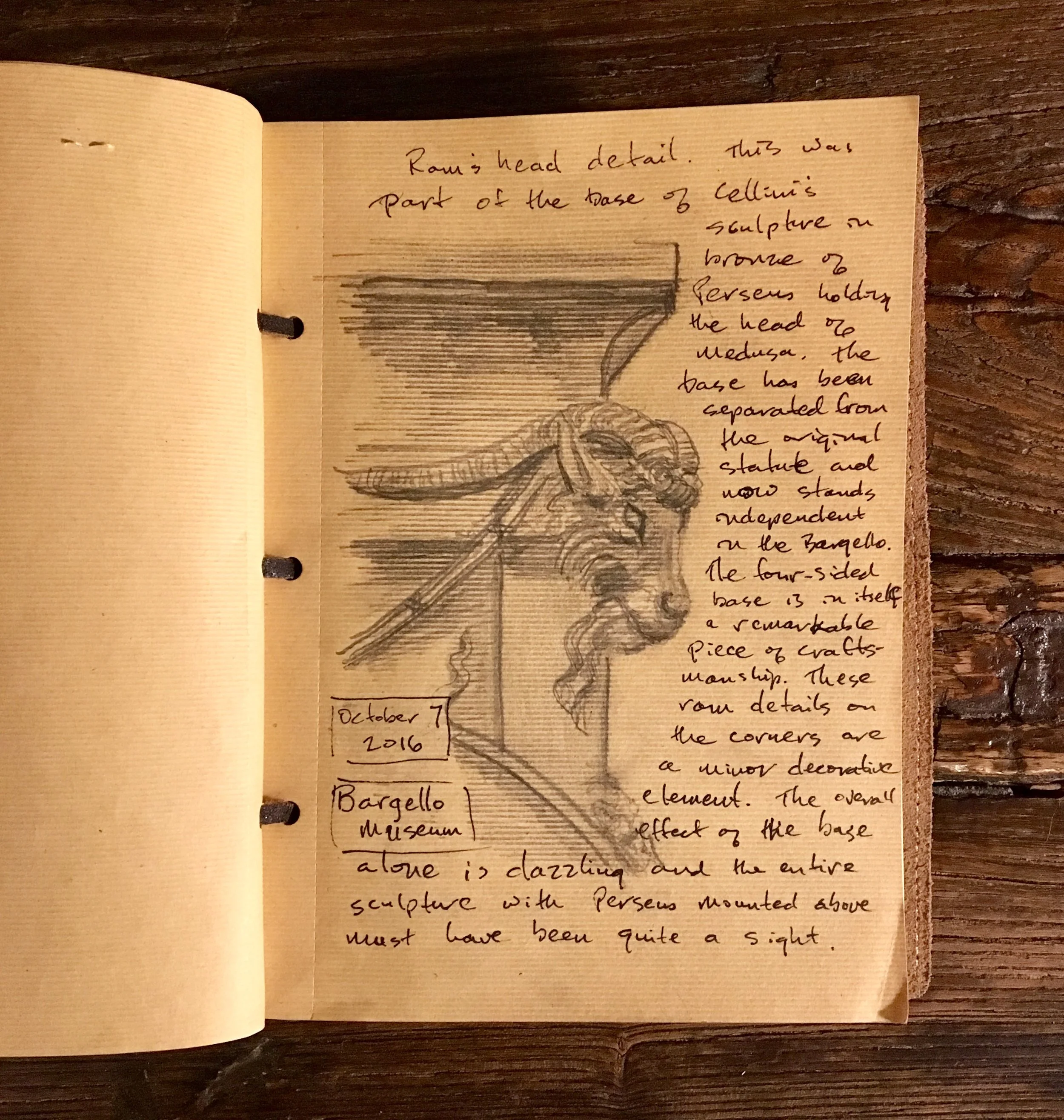 Goat head in journal.jpg
