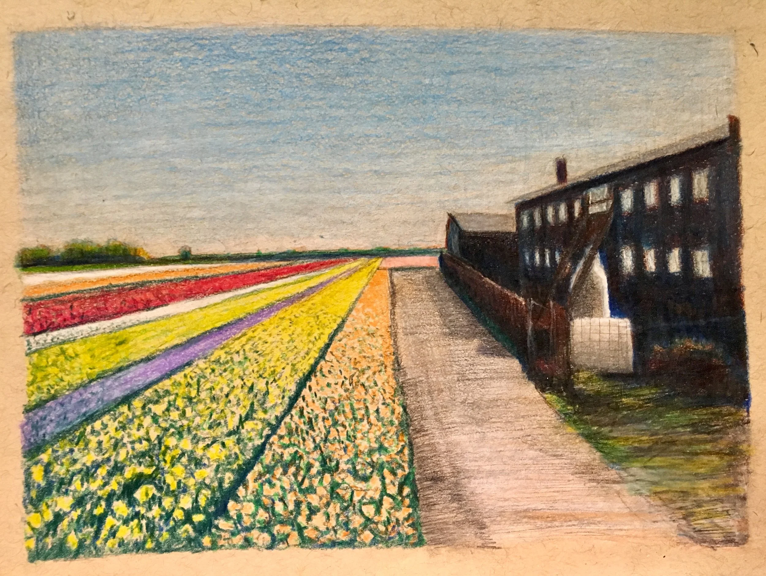 Tulip Fields 1.jpg