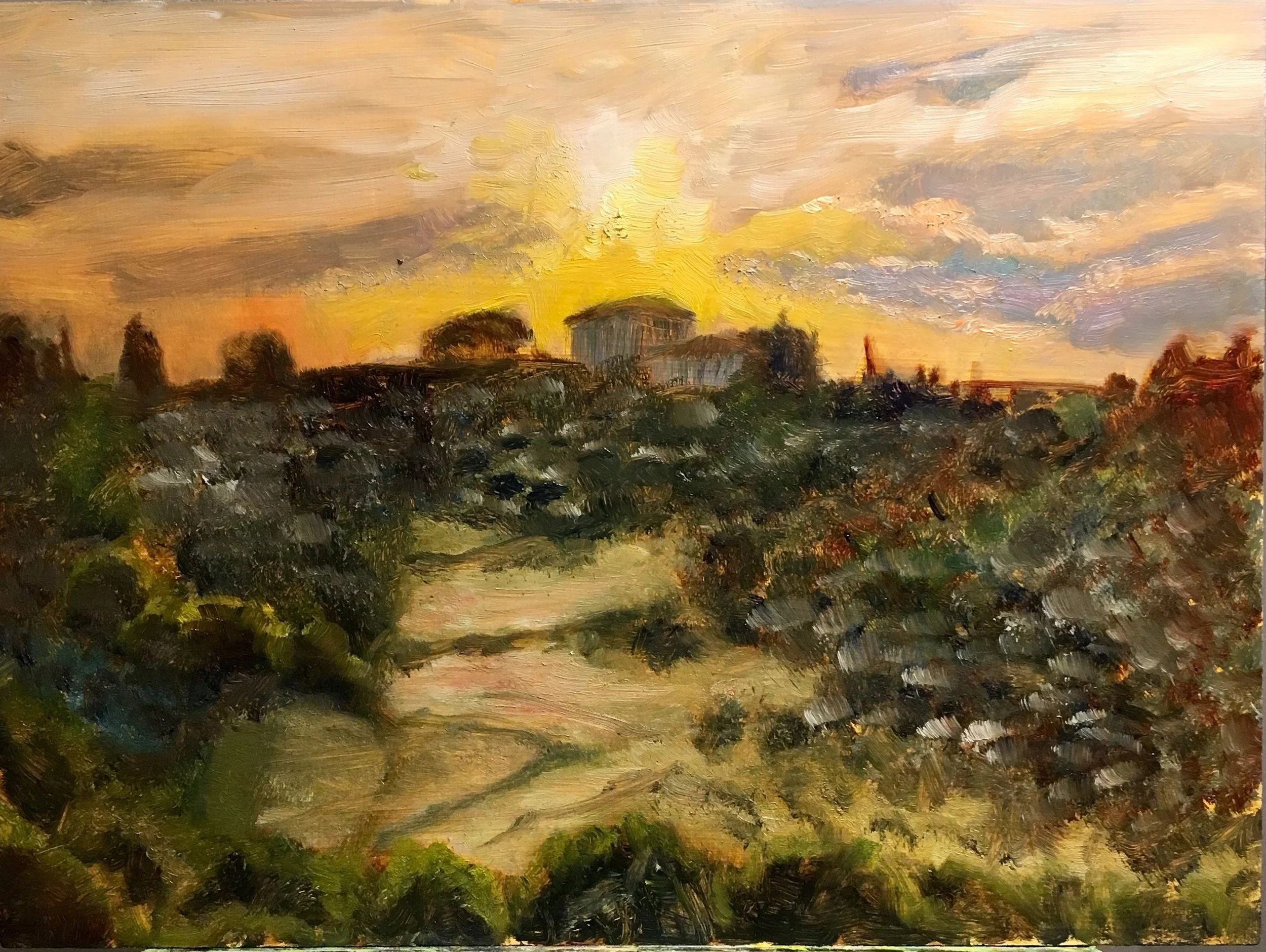 FDB sunset 1.jpg