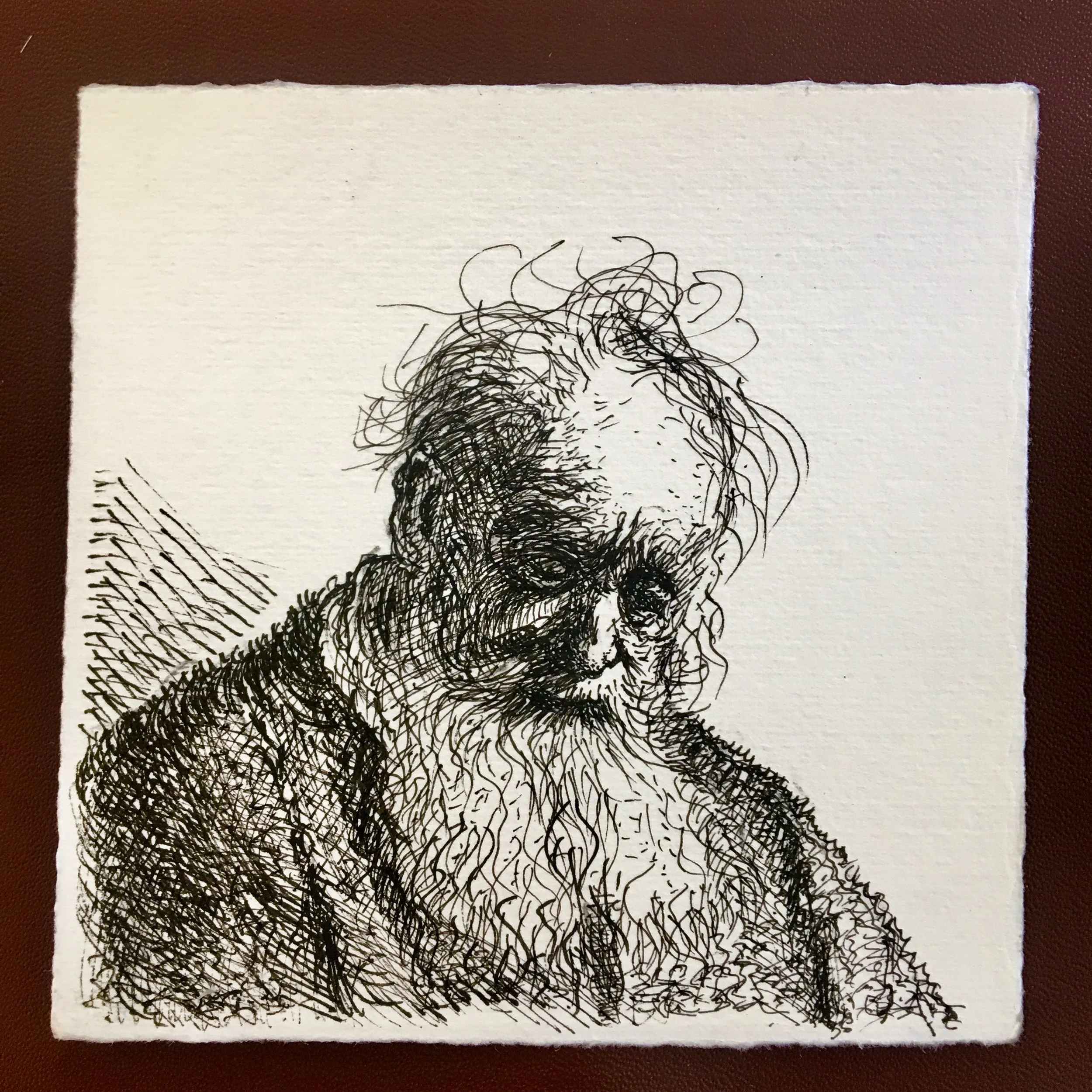 Rembrandt old man.jpg