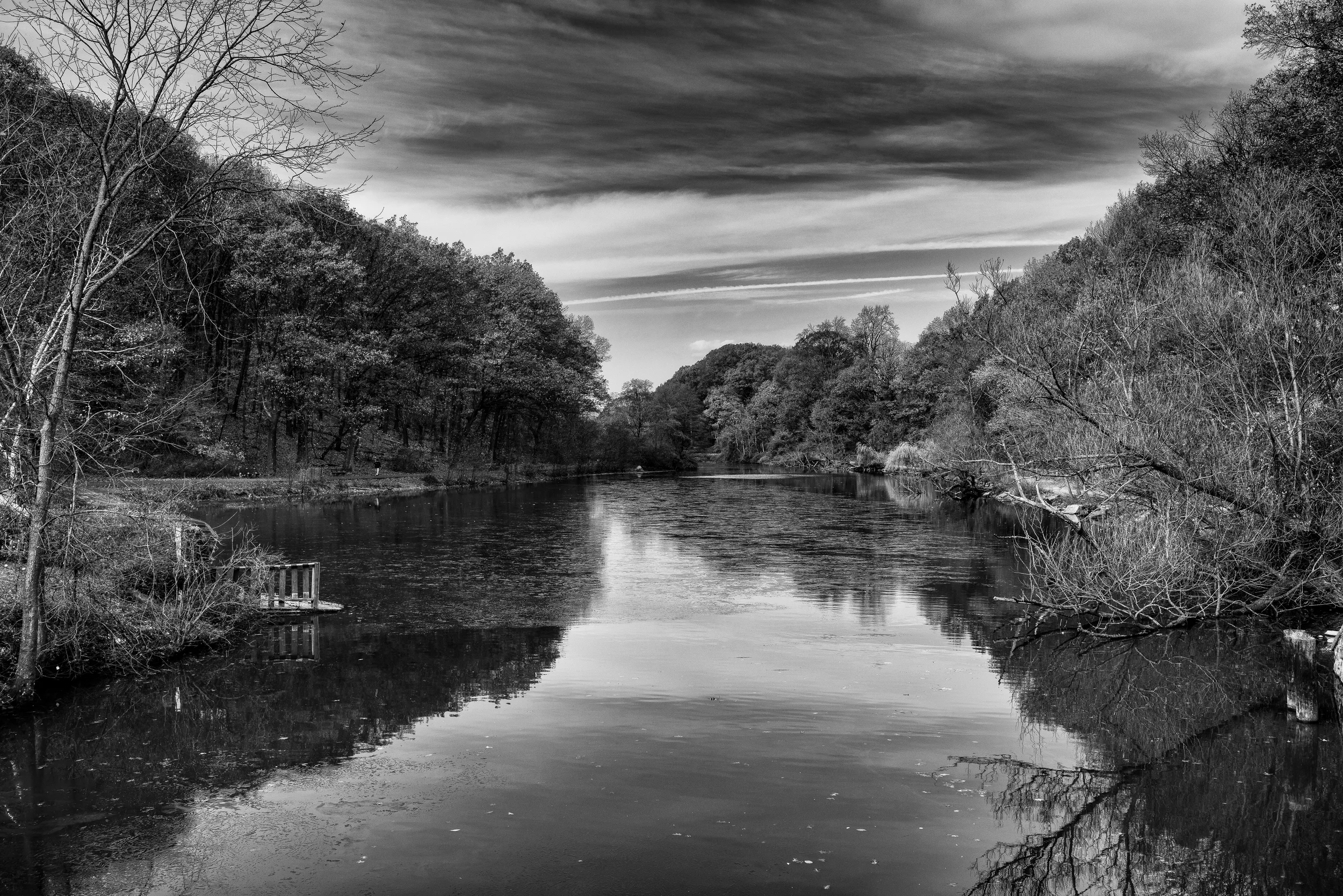 DSC_4516-Edit.jpg
