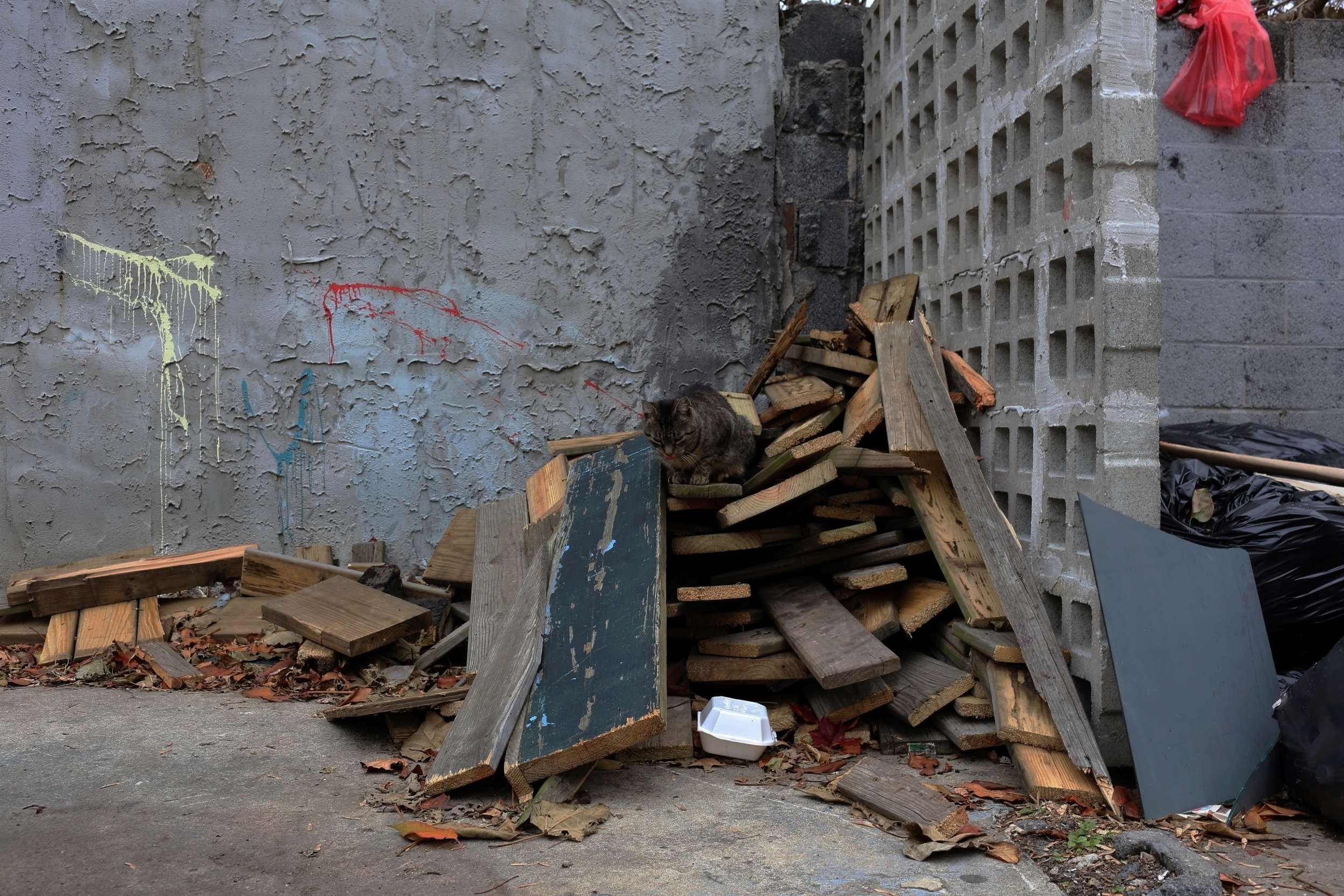 2014.11.30_North Philadelphia-WDSo137.JPG