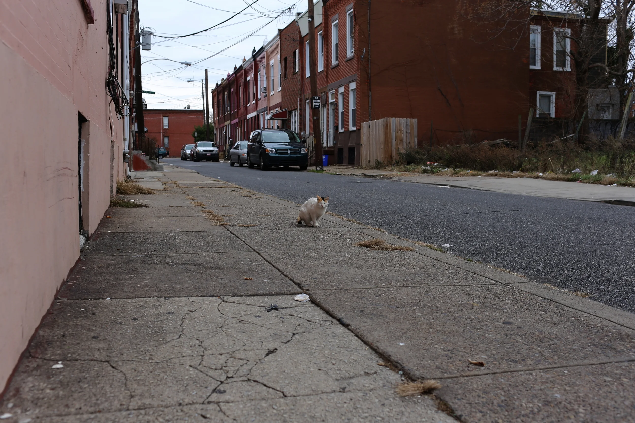 2014.11.30_North Philadelphia-WDSo15.JPG