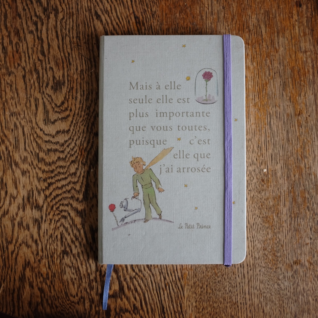 Little Prince Moleskine Diary www.soraya.co.nz .jpg