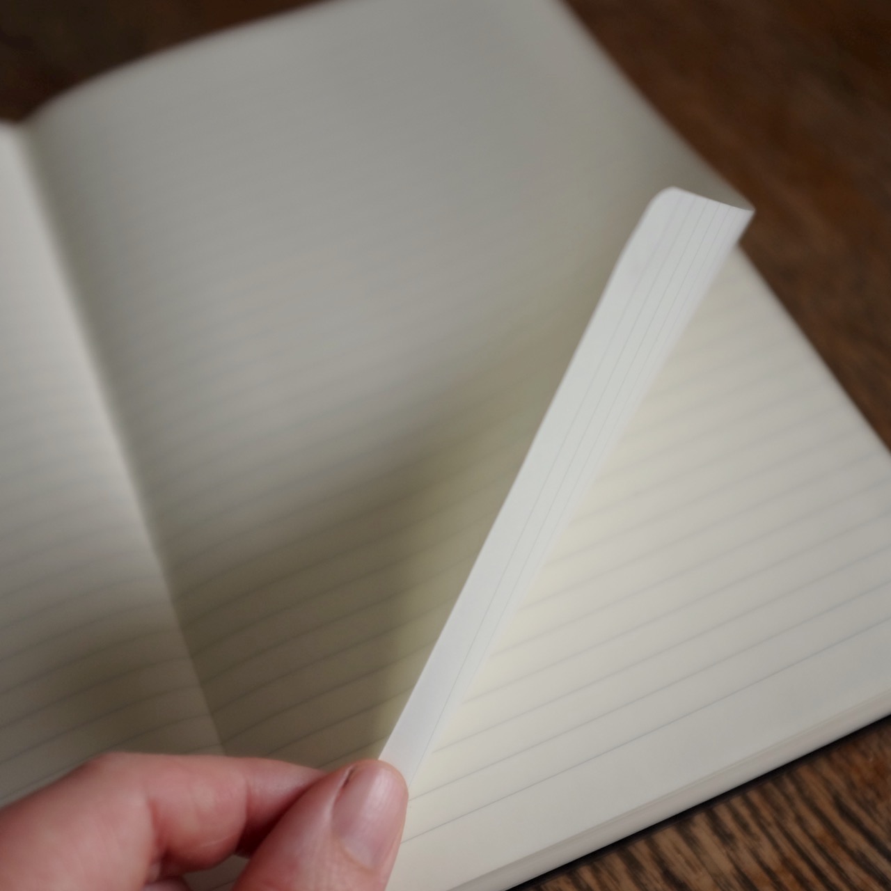 Classic Moleskine Notebook DSCF5236.jpg