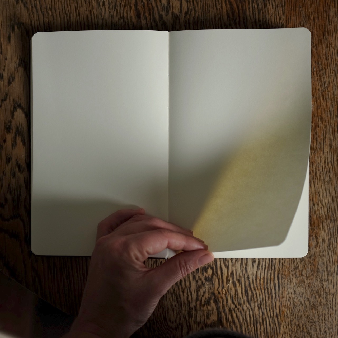 sketchbook Moleskine NotebookDSCF5209.jpg