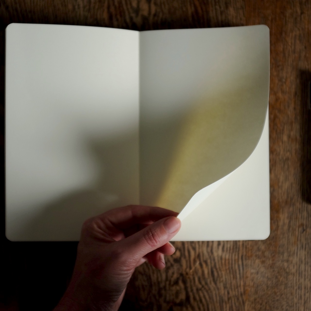 Sketchbook Moleskine NotebookDSCF5210.jpg