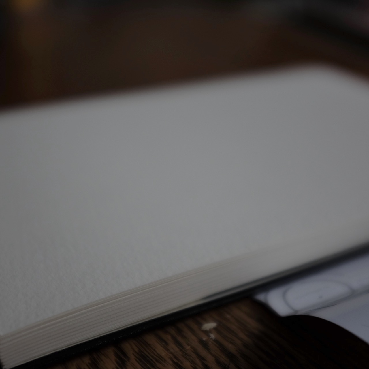 Watercolor Moleskine NotebookDSCF5218.jpg