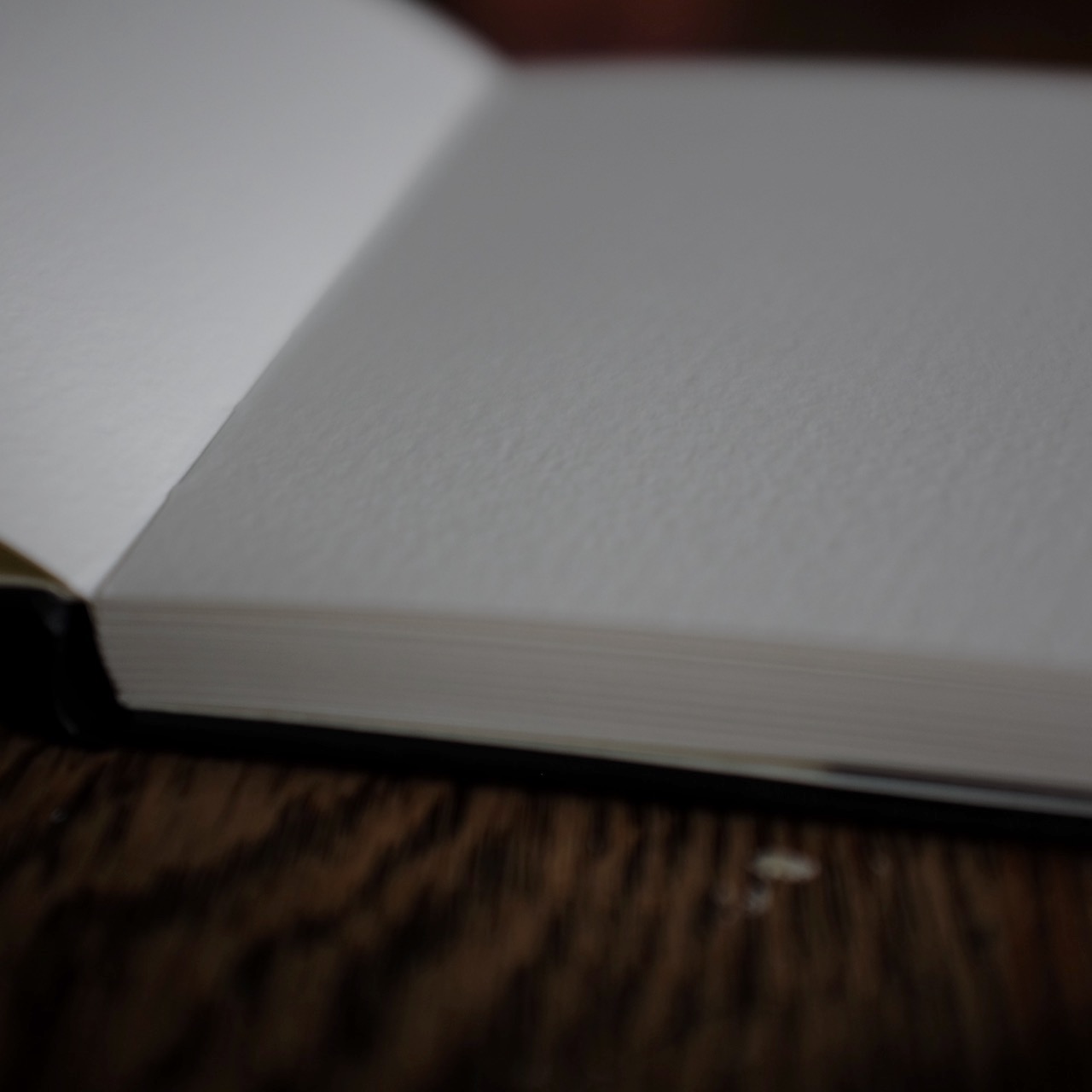 Watercolor Moleskine NotebookDSCF5219.jpg