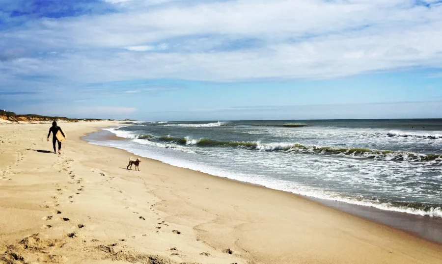 Beach pic long.jpg