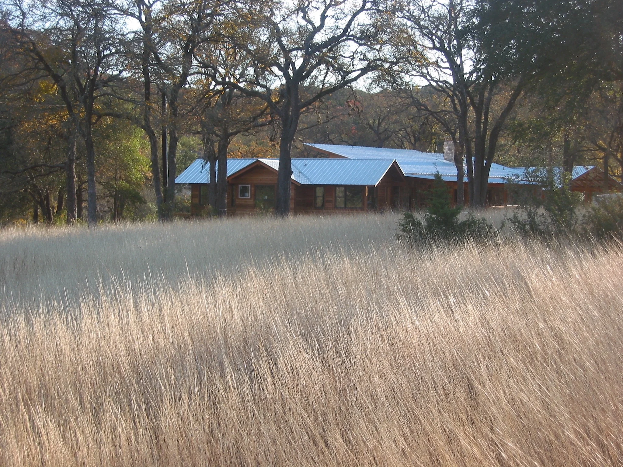 view_grass.jpg