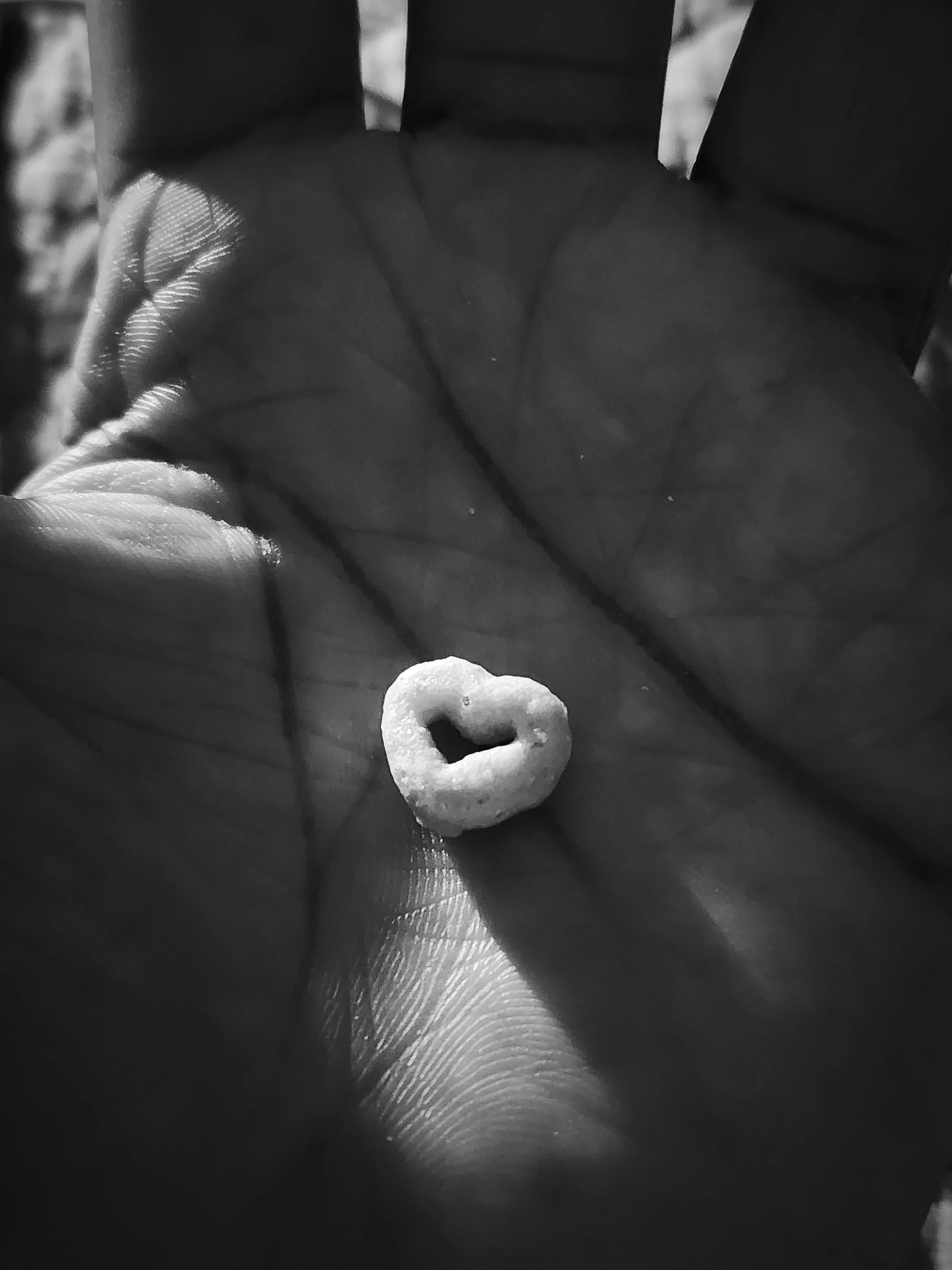 ID-214.jpg