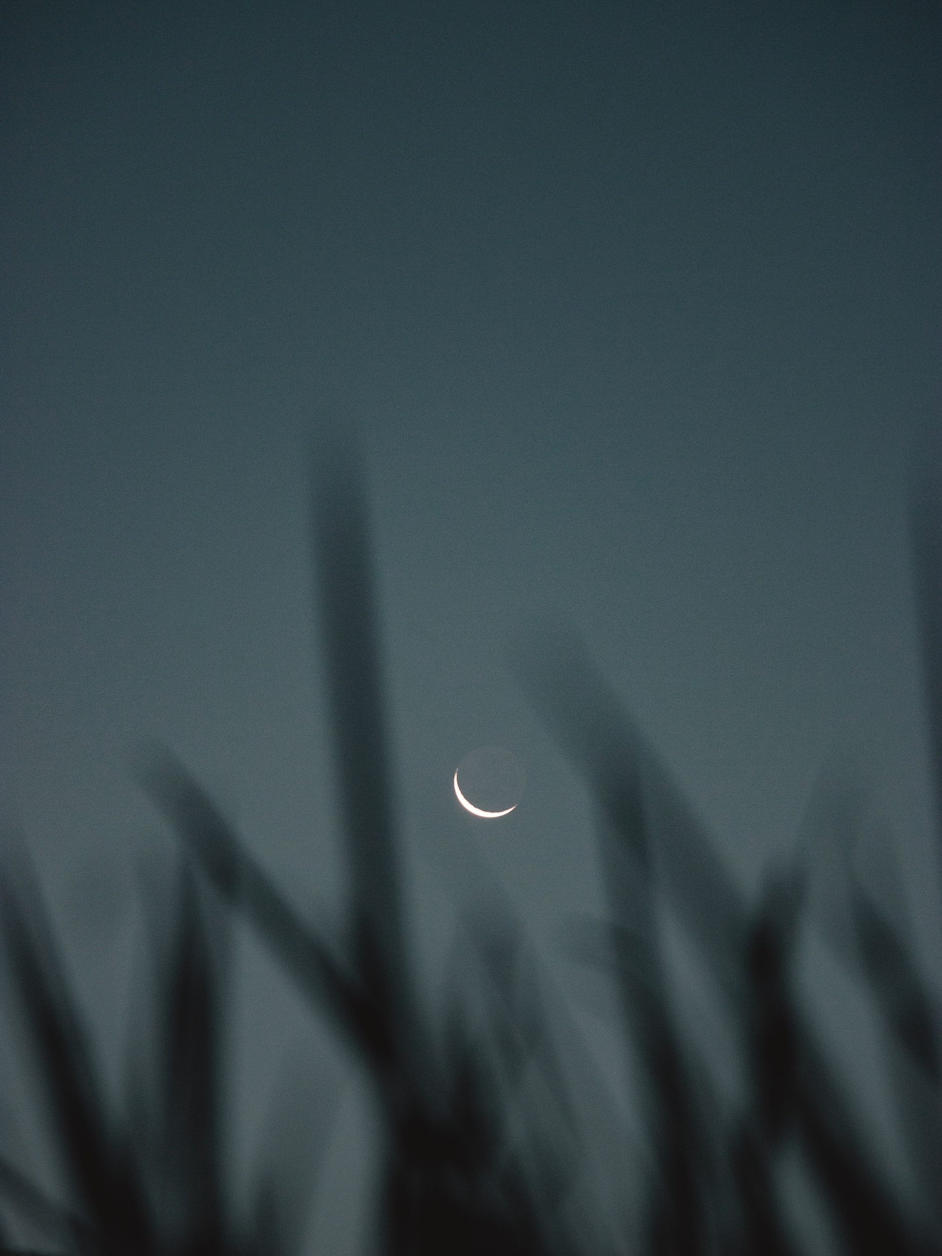 Helping Children to Value Wisdom