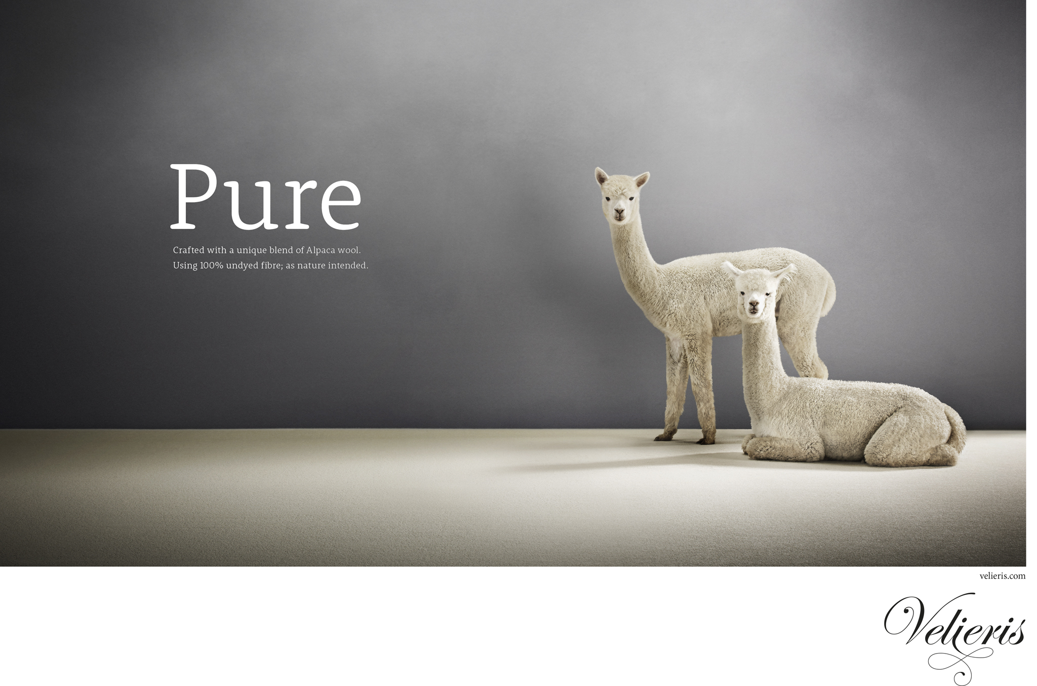 Velieris Carpets