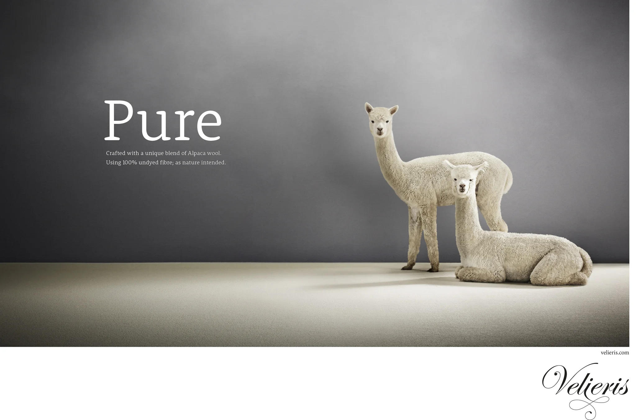 Velieris Carpets