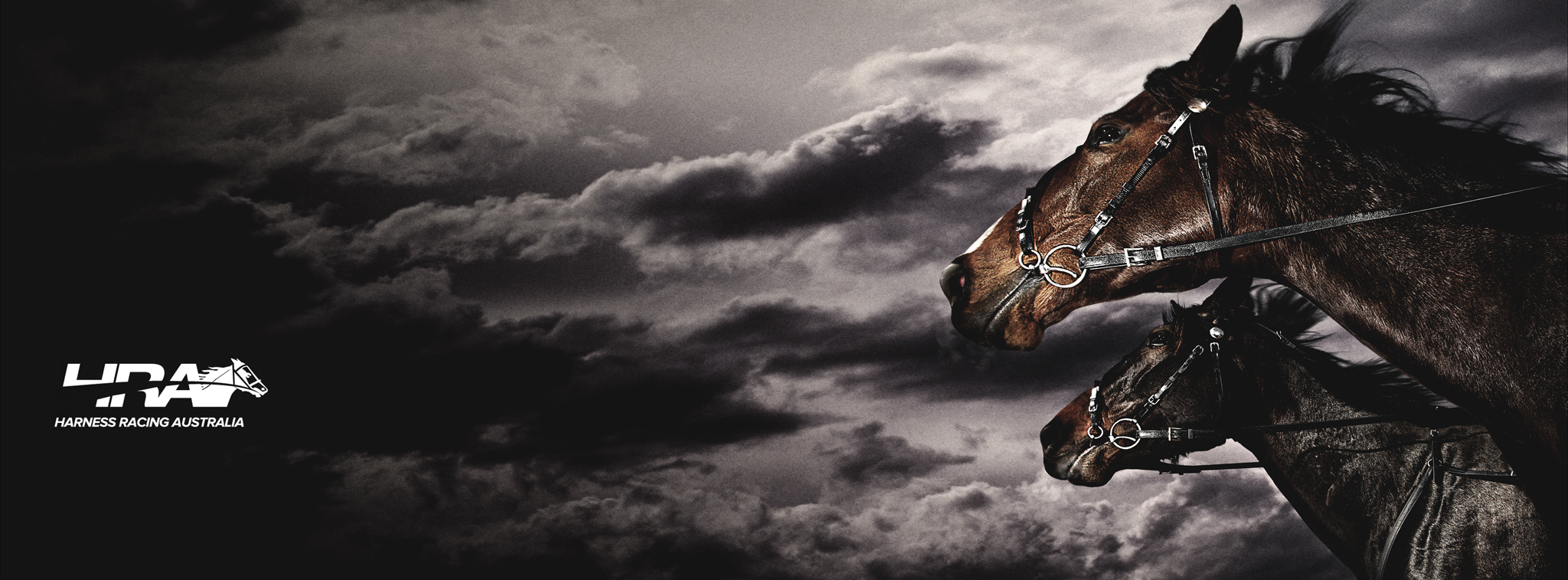 Harness Racing Victoria
