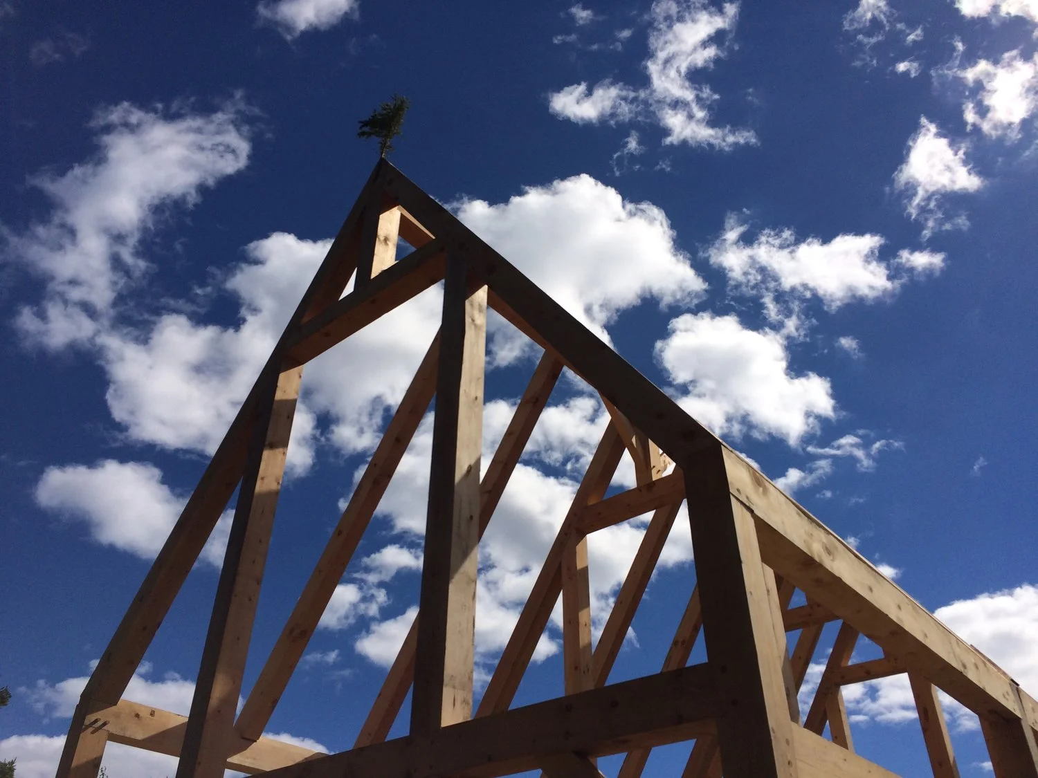 Timberframe against sky.JPG