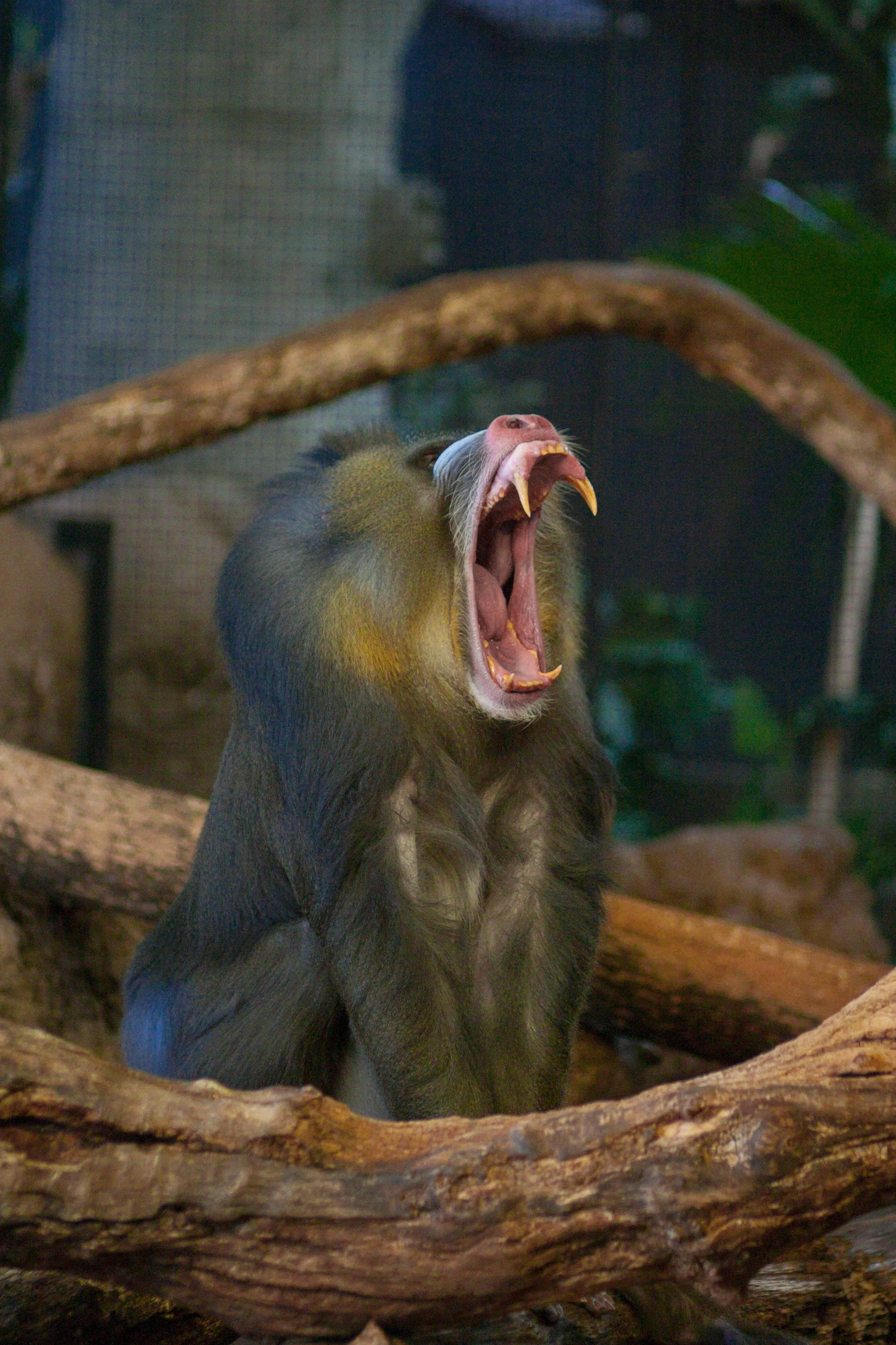 Is There Something In My Teeth