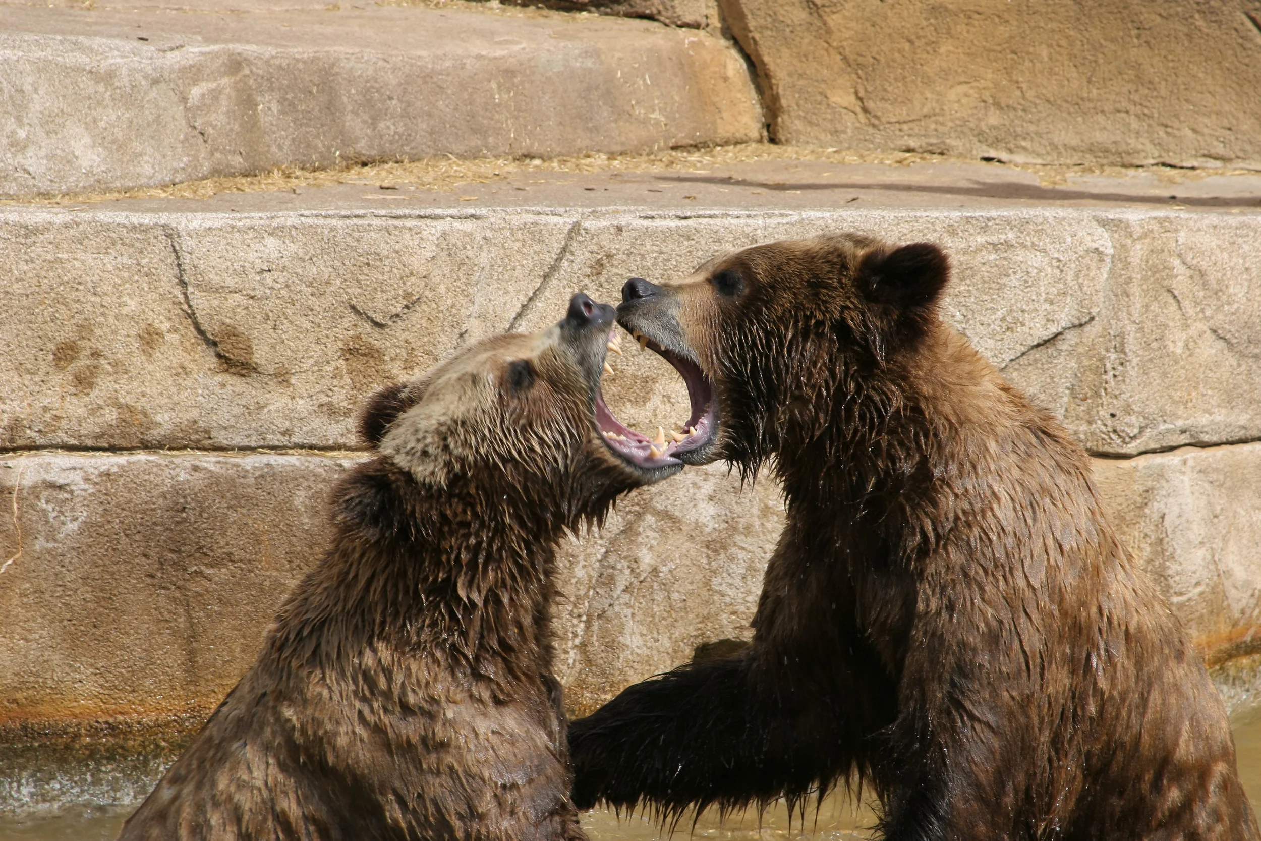 How's My Breath
