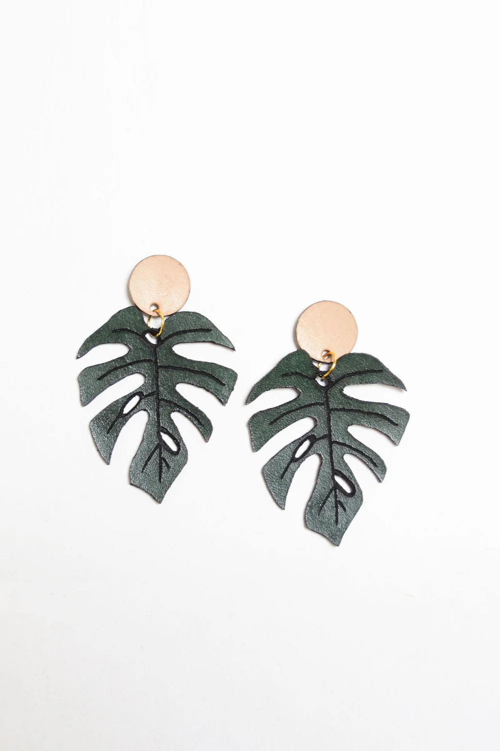philodendron white birkin Buy Philodendron Birkin