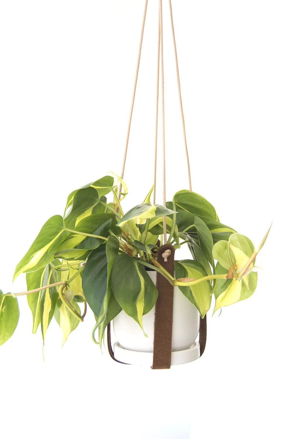 Leather Plant Hanger  Dichotomie Studio Leather Goods