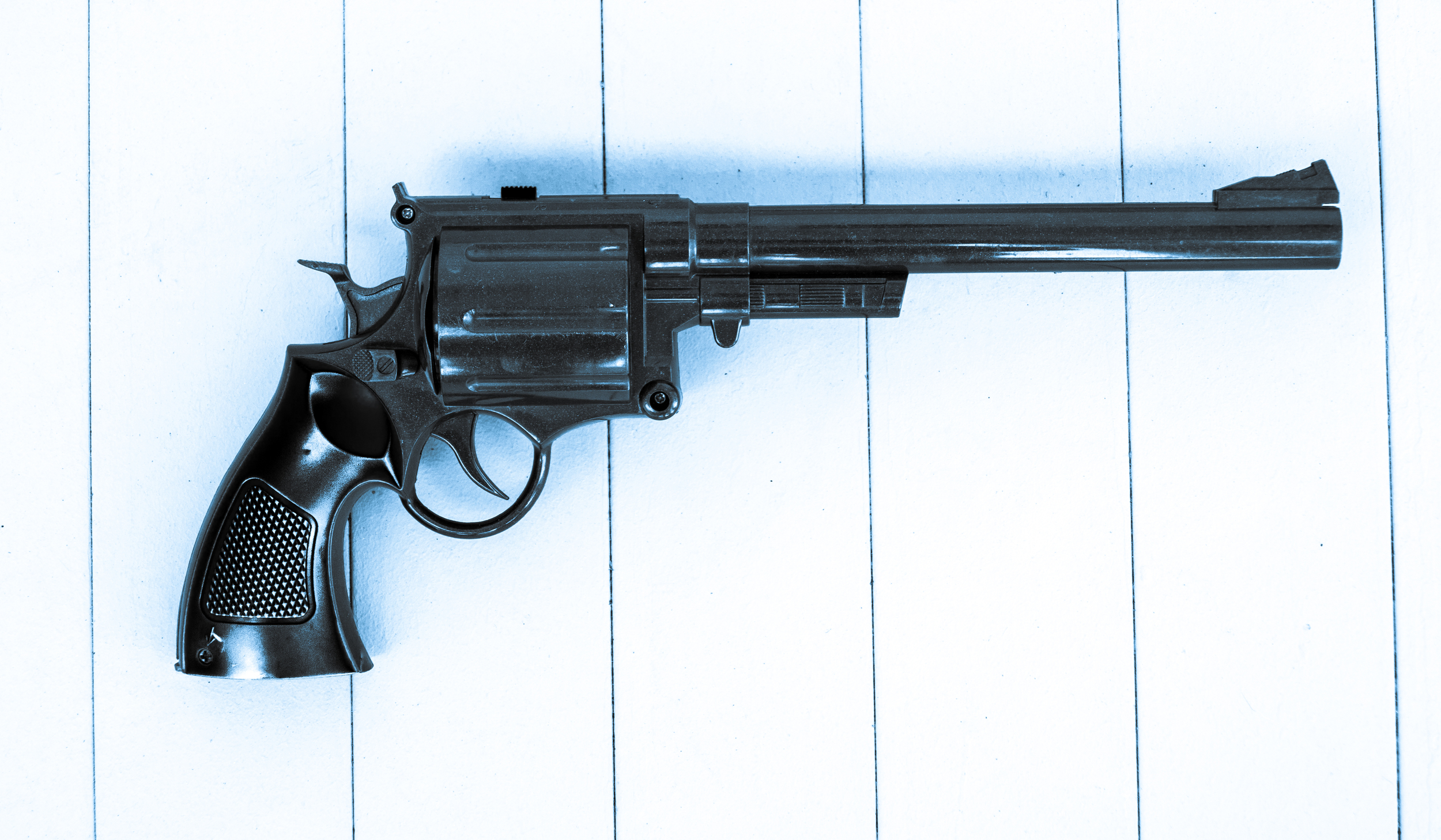 2014-06-25 toy gun-037.jpg